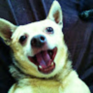 Meet your Posher, Sonja